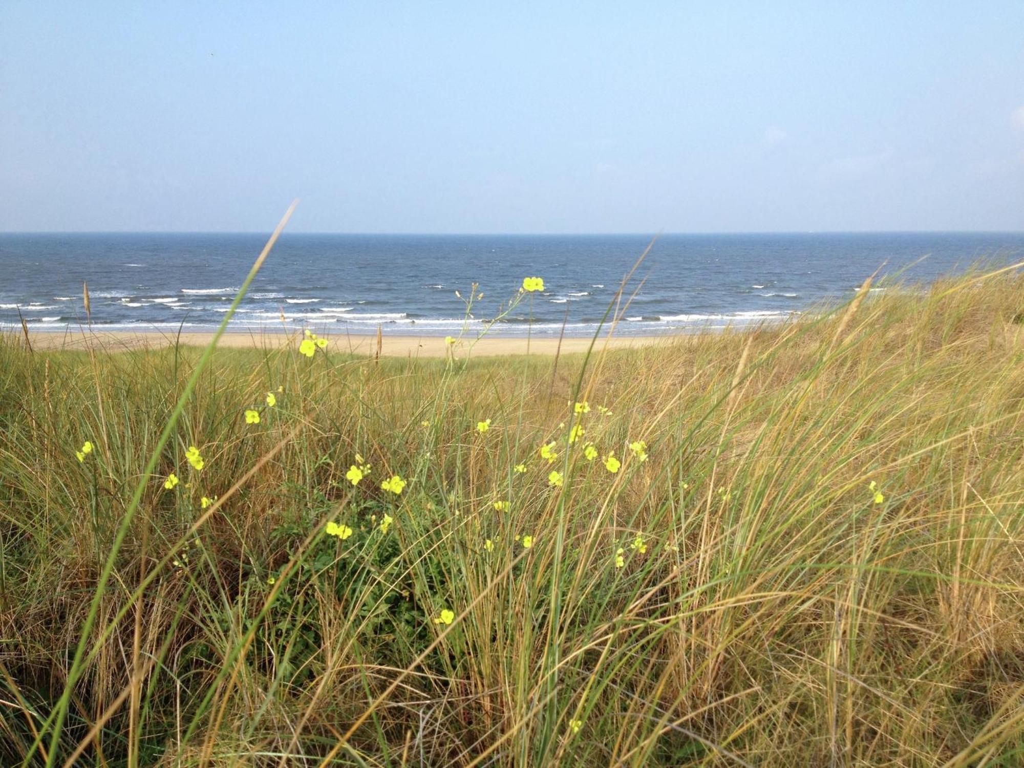 Stunning Apartment In Schoorl North Holland You Can Bike To The Beach Eksteriør billede
